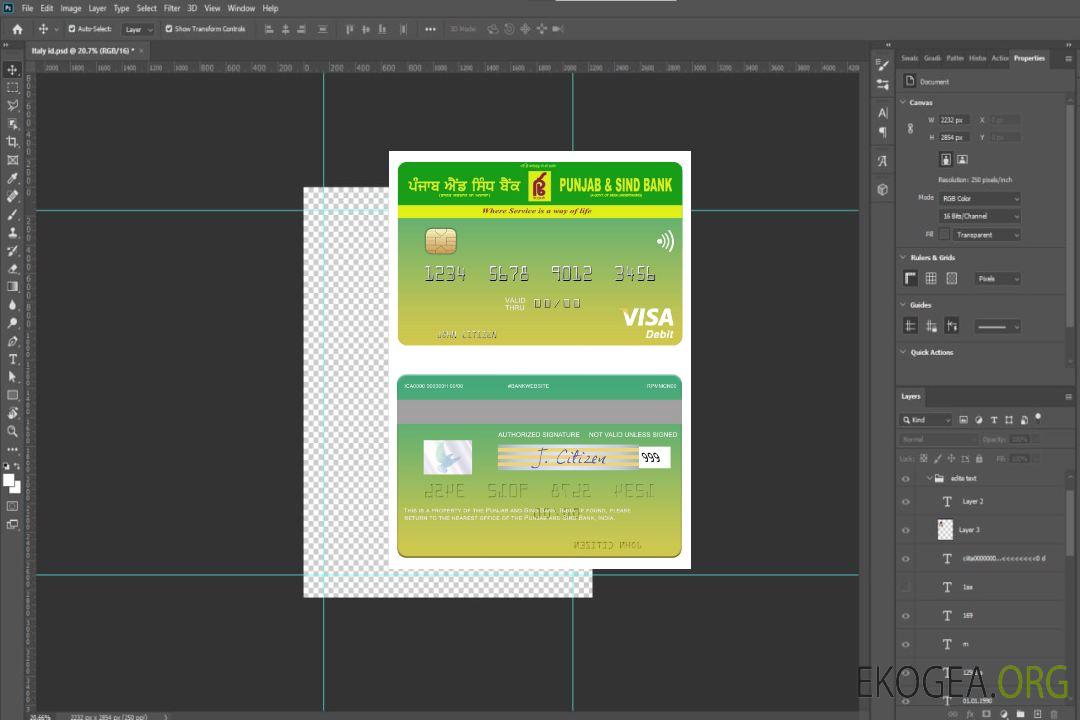 Carte de débit visa Inde Punjab et Sind Bank template Carte de débit visa Inde Punjab et Sind Bank template